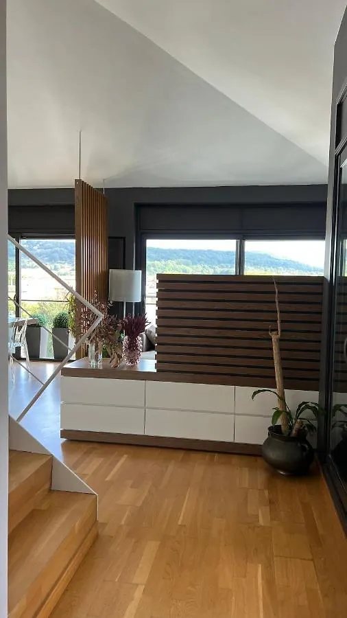 Atico De Diseno Con Terraza En El Centro De Olot Appartement 0*,