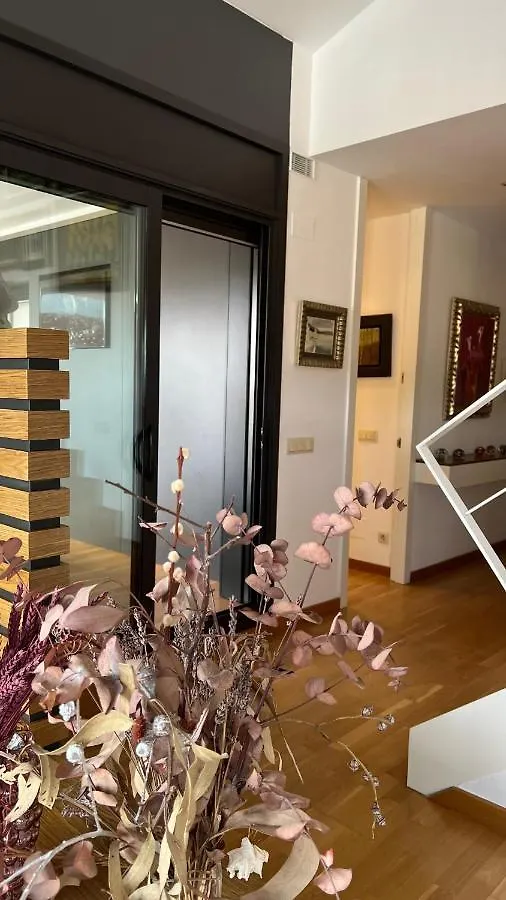 Atico De Diseno Con Terraza En El Centro De Olot Appartement
